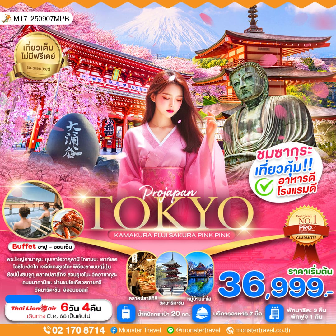 TOKYO KAMAKURA FUJI SAKURA PINK PINK 6 วัน 4 คืน