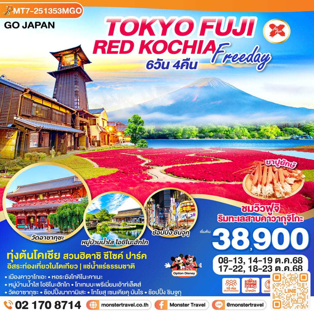 monster travel TOKYO FUJI RED KOCHIA FREEDAY 6D 4N โดยสายการบินไทยแอร์เอเชีย เอ็กซ์ [XJ]