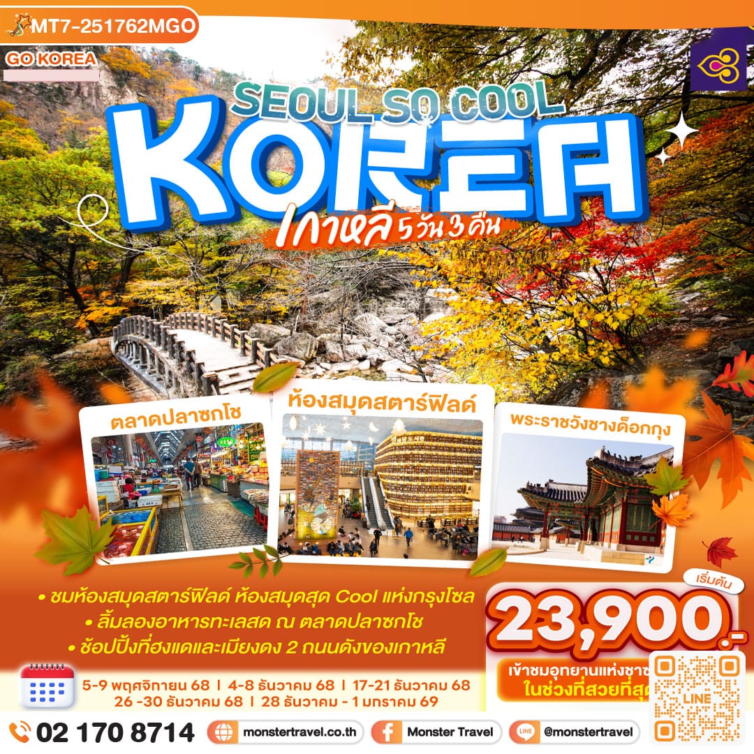 monster travel เกาหลี (KOREA) SEOUL SO COOL 5 วัน 3 คืน โดยสายการบินไทย