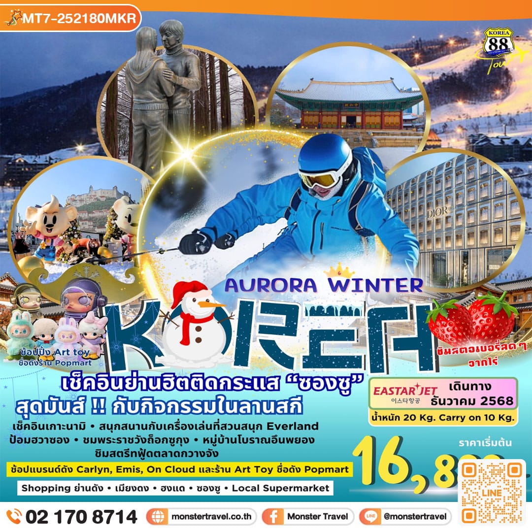 monster travel KOREA AURORA WINTER เช็คอินย่านฮิตติดกระแส 5 วัน 3 คืน