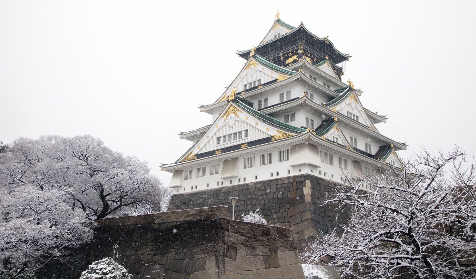 OSAKA เกียวโต ชิราคาวาโกะ ทาคายาม่า 1