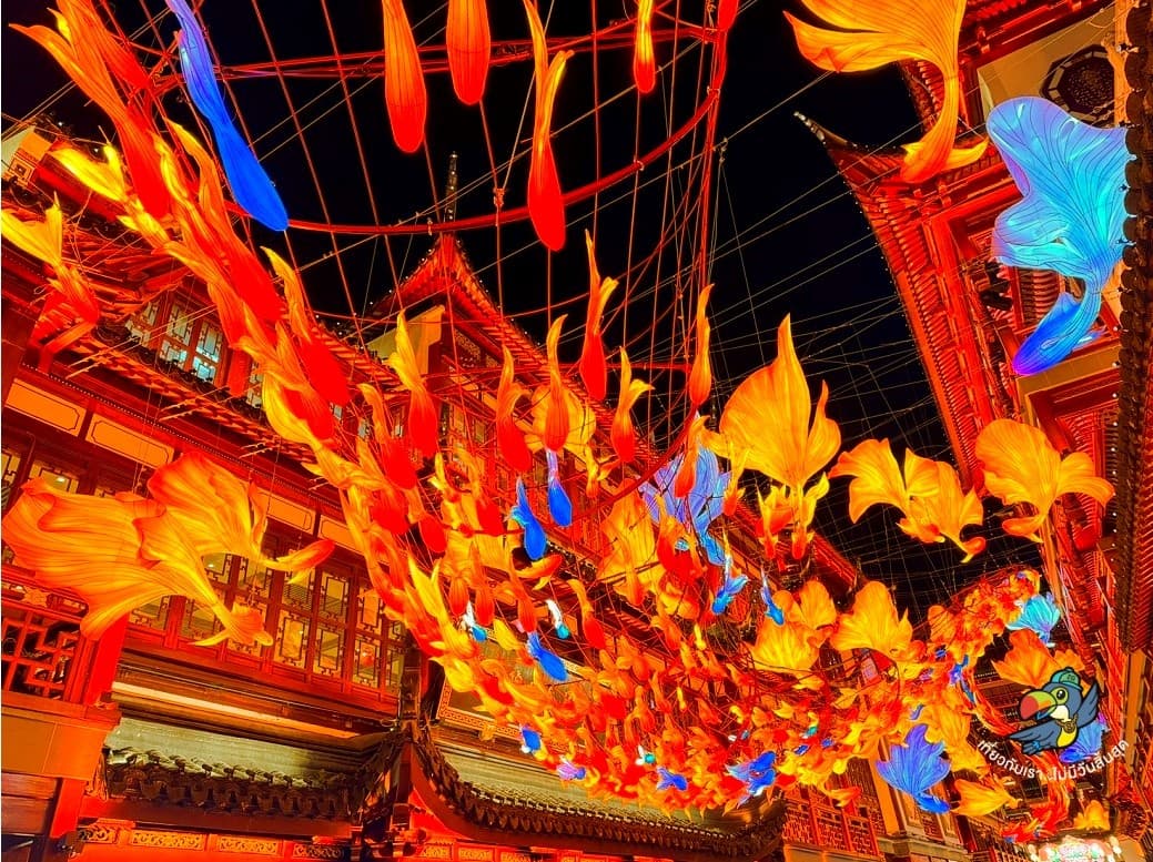 จีน เซี่ยงไฮ้ ดิสนีย์แลนด์ (รวมบัตรสวนสนุกรถรับส่ง-ไม่ลงร้าน) 4