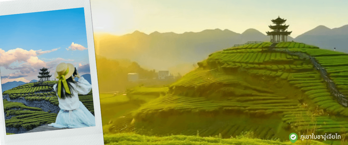 เอินซือ บินตรง ไม่ลงร้าน 6 วัน 5 คืน บิน (VZ) Vietjet Air 2