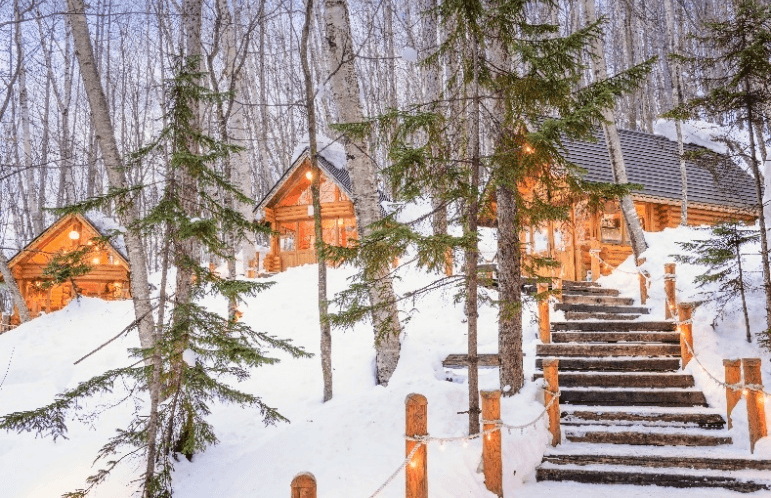 HOKKAIDO WINTER HYOTO FESTIVAL (FREEDAY) FEB 6D4N 2