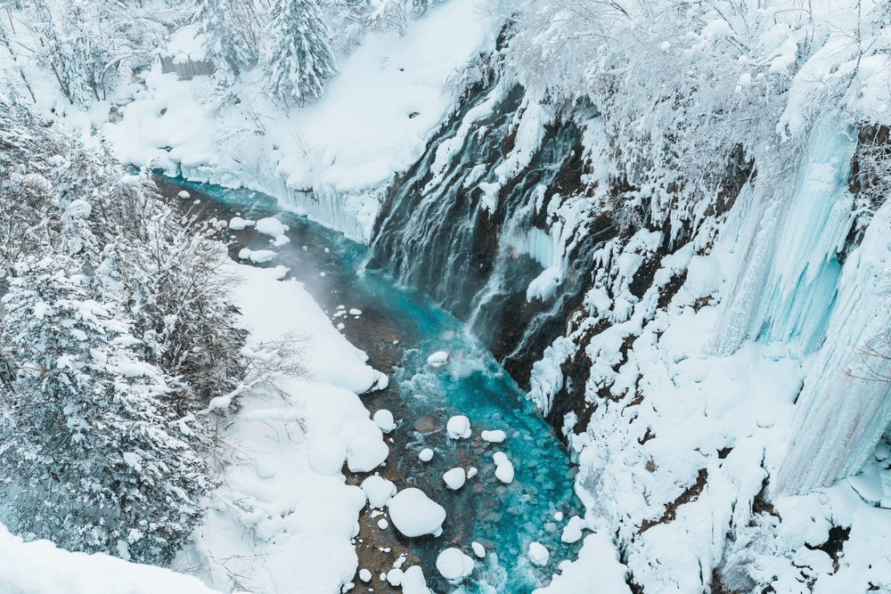 HOKKAIDO WINTER HYOTO FESTIVAL (FREEDAY) FEB 6D4N 3