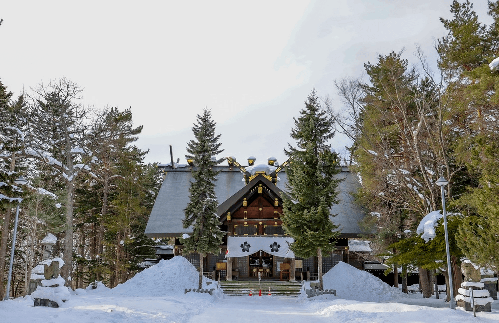 HOKKAIDO WINTER สุดฟินนอนสกีรีสอร์ท (เที่ยวเต็ม) JAN-MAR 6D4N 4