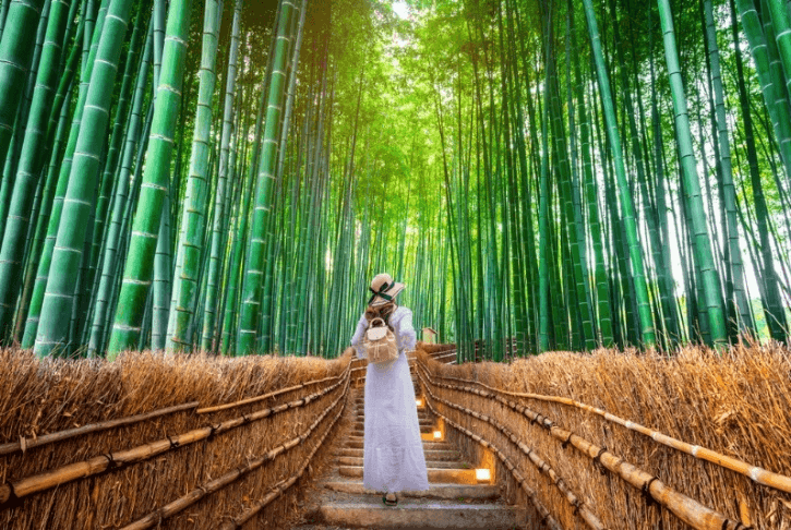 OSAKA AUTUMN KAMIKOCHI ดีลเด็ด (เที่ยวเต็ม) OCT 5D3N 3