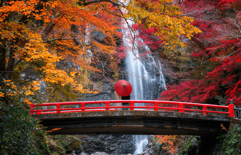 OSAKA-NAGOYA AUTUMN คามิโคจิ ชิราคาวาโกะ 5 วัน 4 คืน 1