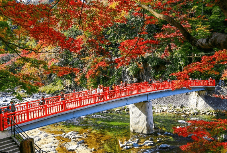 NAGOYA-TOKYO AUTUMN ใบไม้แดงใกล้ฉัน (เที่ยวเต็ม) 5 วัน 3 คืน 2