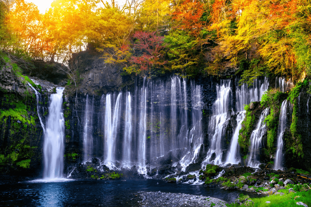 NAGOYA-TOKYO AUTUMN ใบไม้แดงใกล้ฉัน (เที่ยวเต็ม) 5 วัน 3 คืน 4