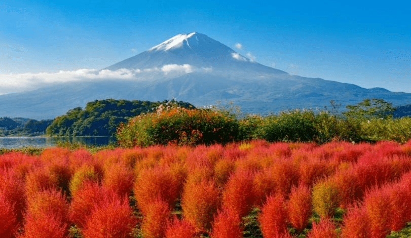 TOKYO ฮาคุบะ-คามิโคจิ ฟูจิ นาโกย่า ใบไม้เปลี่ยนสี (เที่ยวเต็ม) 6 วัน 4 คืน 2
